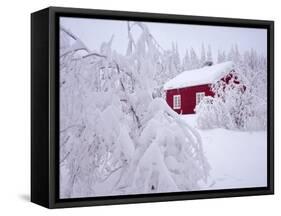 Nordmarka, Oslo, Norway, Scandinavia, Europe-Kim Hart-Framed Stretched Canvas