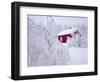 Nordmarka, Oslo, Norway, Scandinavia, Europe-Kim Hart-Framed Photographic Print