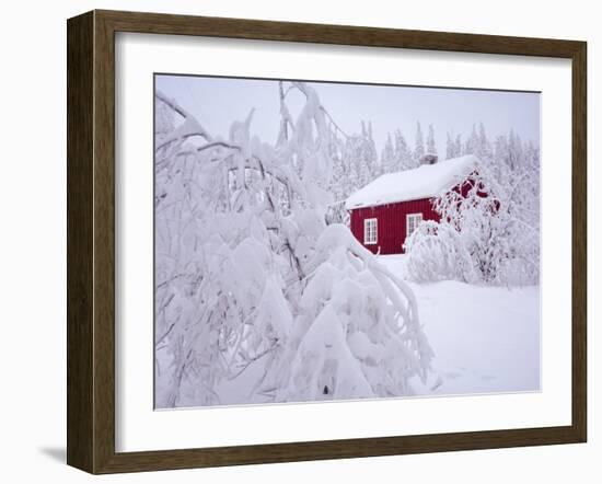 Nordmarka, Oslo, Norway, Scandinavia, Europe-Kim Hart-Framed Photographic Print