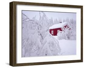 Nordmarka, Oslo, Norway, Scandinavia, Europe-Kim Hart-Framed Photographic Print