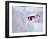 Nordmarka, Oslo, Norway, Scandinavia, Europe-Kim Hart-Framed Photographic Print