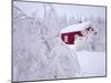 Nordmarka, Oslo, Norway, Scandinavia, Europe-Kim Hart-Mounted Photographic Print