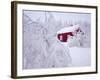 Nordmarka, Oslo, Norway, Scandinavia, Europe-Kim Hart-Framed Photographic Print