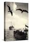 Nordseeinsel Helgoland, Ausbooten Der Passagiere, Dampfer, Möwen-null-Stretched Canvas