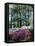 Norfolk Botanical Gardens, VA-Barry Winiker-Framed Stretched Canvas