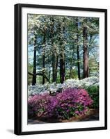 Norfolk Botanical Gardens, VA-Barry Winiker-Framed Premium Photographic Print