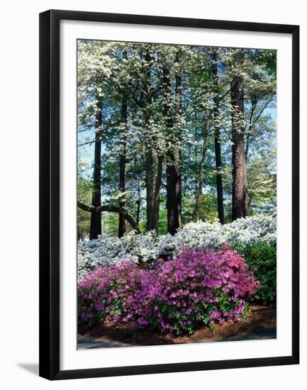 Norfolk Botanical Gardens, VA-Barry Winiker-Framed Premium Photographic Print