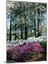 Norfolk Botanical Gardens, VA-Barry Winiker-Mounted Premium Photographic Print