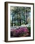 Norfolk Botanical Gardens, VA-Barry Winiker-Framed Photographic Print