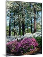 Norfolk Botanical Gardens, VA-Barry Winiker-Mounted Photographic Print