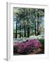 Norfolk Botanical Gardens, VA-Barry Winiker-Framed Photographic Print