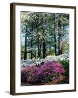 Norfolk Botanical Gardens, VA-Barry Winiker-Framed Photographic Print