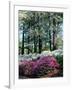 Norfolk Botanical Gardens, VA-Barry Winiker-Framed Photographic Print