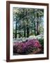 Norfolk Botanical Gardens, VA-Barry Winiker-Framed Photographic Print