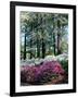 Norfolk Botanical Gardens, VA-Barry Winiker-Framed Photographic Print