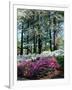 Norfolk Botanical Gardens, VA-Barry Winiker-Framed Photographic Print