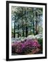 Norfolk Botanical Gardens, VA-Barry Winiker-Framed Photographic Print