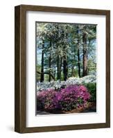 Norfolk Botanical Gardens, VA-Barry Winiker-Framed Photographic Print