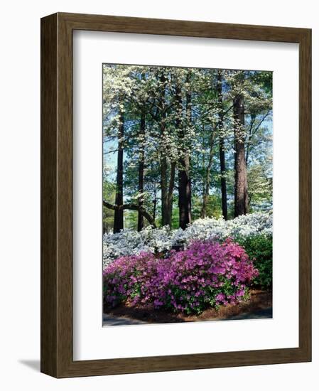 Norfolk Botanical Gardens, VA-Barry Winiker-Framed Photographic Print