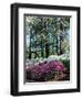 Norfolk Botanical Gardens, VA-Barry Winiker-Framed Photographic Print