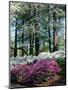 Norfolk Botanical Gardens, VA-Barry Winiker-Mounted Photographic Print