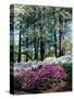 Norfolk Botanical Gardens, VA-Barry Winiker-Stretched Canvas