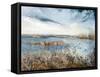 Norfolk breezes-Mary Smith-Framed Stretched Canvas