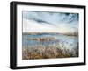 Norfolk breezes-Mary Smith-Framed Giclee Print