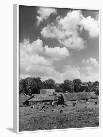 Norfolk Farm-null-Framed Photographic Print