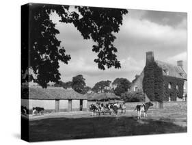 Norfolk Farmhouse-null-Stretched Canvas