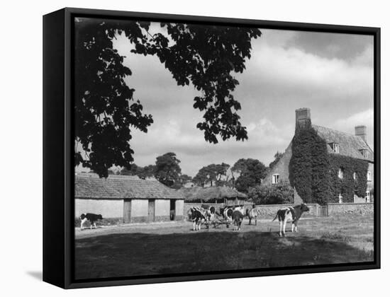 Norfolk Farmhouse-null-Framed Stretched Canvas