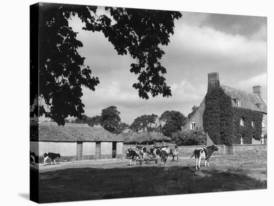 Norfolk Farmhouse-null-Stretched Canvas