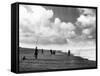 Norfolk Sea Anglers-null-Framed Stretched Canvas