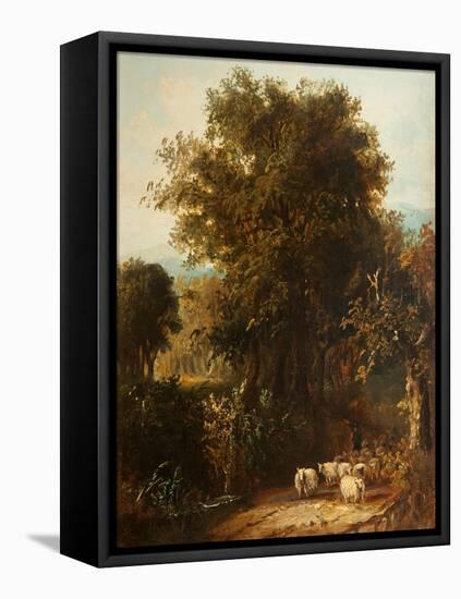 Norfolk Wooded Landscape-James Stark-Framed Stretched Canvas