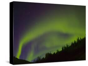 Norhtern Lights With Big Dipper, Denali National Park, Alaska, USA-Terry Eggers-Stretched Canvas