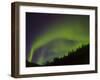 Norhtern Lights With Big Dipper, Denali National Park, Alaska, USA-Terry Eggers-Framed Photographic Print