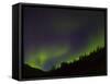 Norhtern Lights With Big Dipper, Denali National Park, Alaska, USA-Terry Eggers-Framed Stretched Canvas