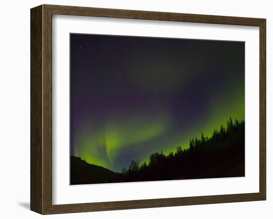 Norhtern Lights With Big Dipper, Denali National Park, Alaska, USA-Terry Eggers-Framed Premium Photographic Print