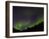 Norhtern Lights With Big Dipper, Denali National Park, Alaska, USA-Terry Eggers-Framed Premium Photographic Print