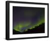 Norhtern Lights With Big Dipper, Denali National Park, Alaska, USA-Terry Eggers-Framed Premium Photographic Print