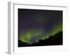 Norhtern Lights With Big Dipper, Denali National Park, Alaska, USA-Terry Eggers-Framed Premium Photographic Print