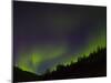 Norhtern Lights With Big Dipper, Denali National Park, Alaska, USA-Terry Eggers-Mounted Premium Photographic Print