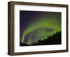 Norhtern Lights With Big Dipper, Denali National Park, Alaska, USA-Terry Eggers-Framed Photographic Print