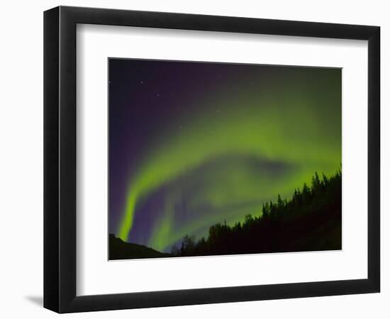 Norhtern Lights With Big Dipper, Denali National Park, Alaska, USA-Terry Eggers-Framed Photographic Print