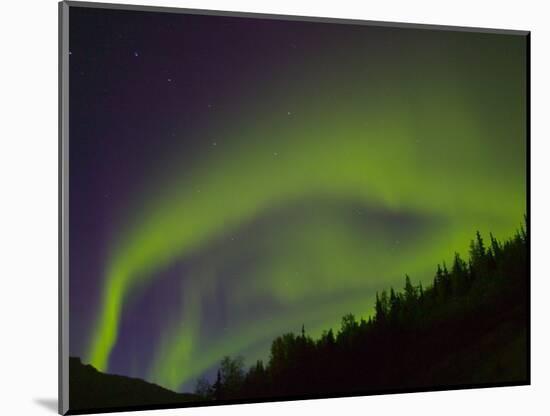 Norhtern Lights With Big Dipper, Denali National Park, Alaska, USA-Terry Eggers-Mounted Photographic Print