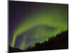 Norhtern Lights With Big Dipper, Denali National Park, Alaska, USA-Terry Eggers-Mounted Photographic Print