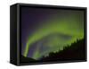 Norhtern Lights With Big Dipper, Denali National Park, Alaska, USA-Terry Eggers-Framed Stretched Canvas