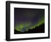 Norhtern Lights With Big Dipper, Denali National Park, Alaska, USA-Terry Eggers-Framed Photographic Print