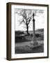 Norlfolk Pilgrim's Cross-null-Framed Photographic Print