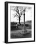 Norlfolk Pilgrim's Cross-null-Framed Photographic Print